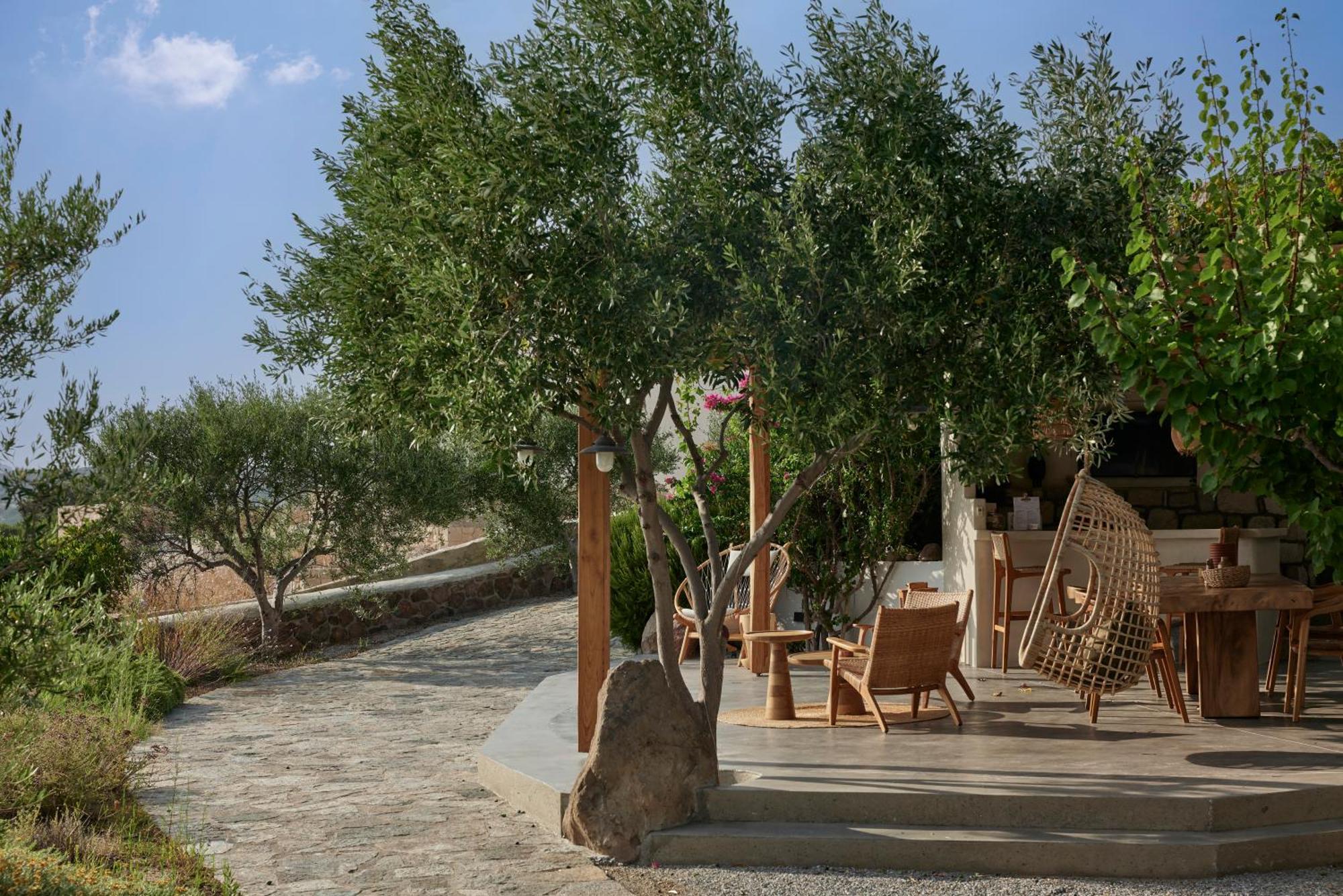Iliana Olive Branch Apartment Adamantas  Exterior foto
