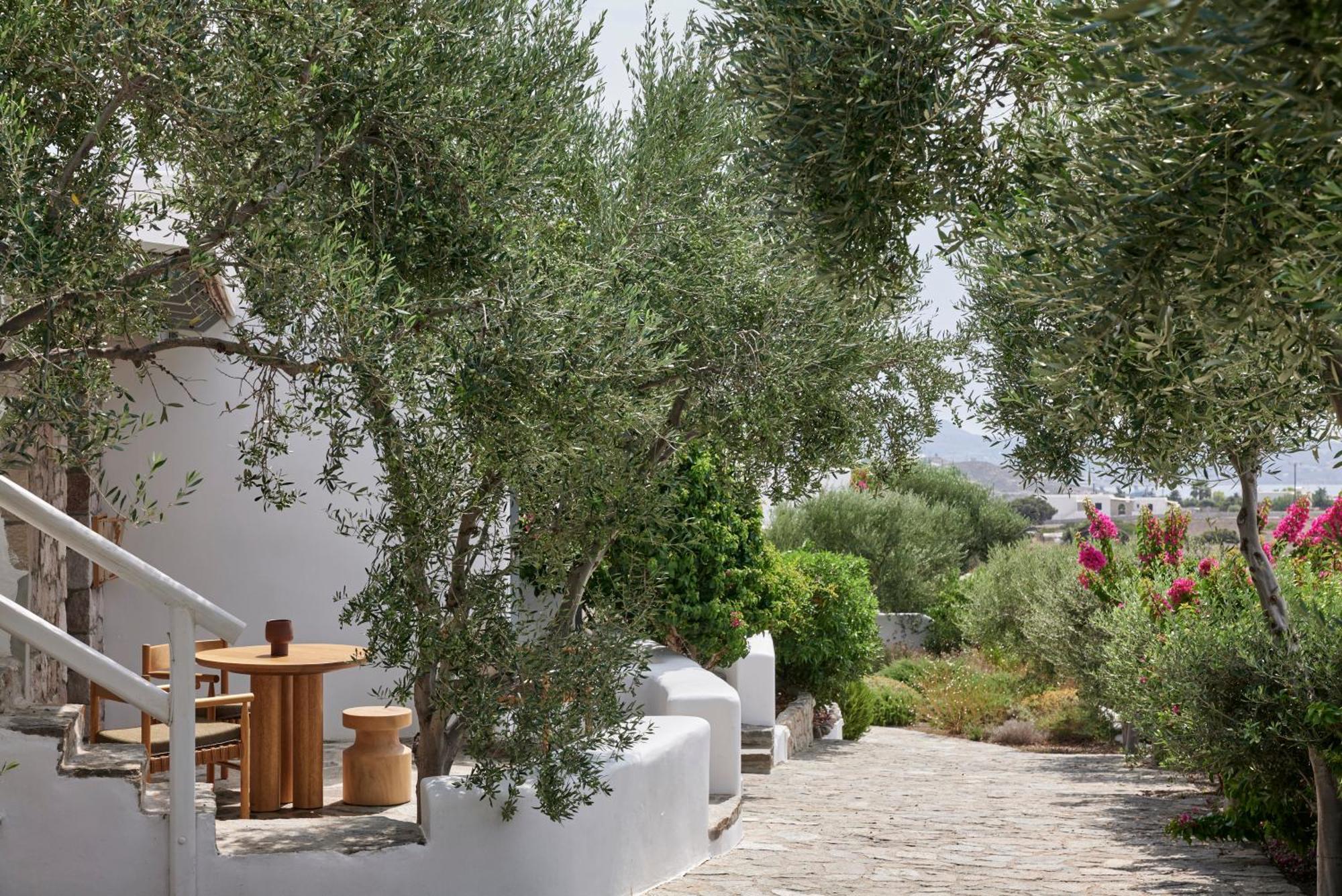 Iliana Olive Branch Apartment Adamantas  Exterior foto