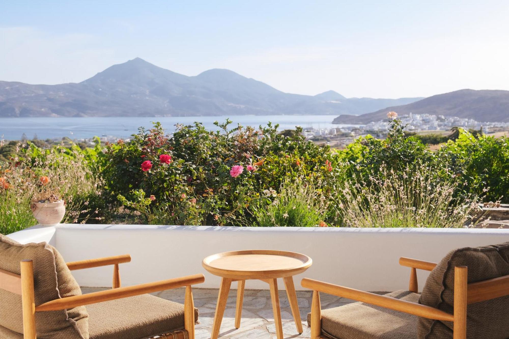Iliana Olive Branch Apartment Adamantas  Exterior foto