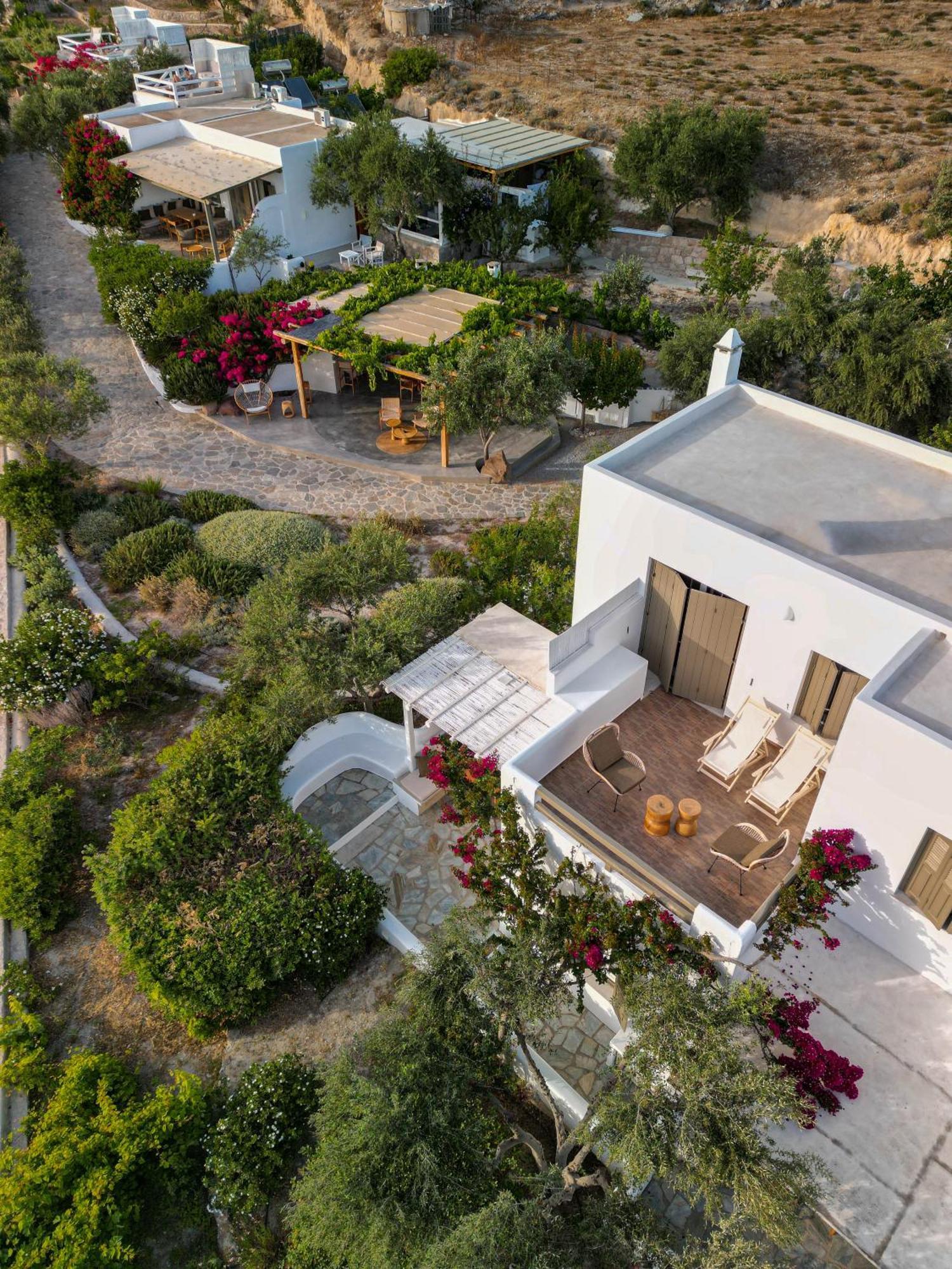 Iliana Olive Branch Apartment Adamantas  Exterior foto